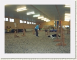 Ober50 * 500 x 375 * (87KB)